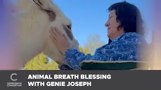 Animal Breath Blessing with Genie Joseph