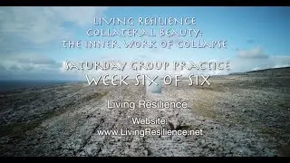 Collateral Beauty Course - Final Saturday Group Practice Session 6 - The Inner Work of Collapse