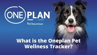 What is the Oneplan Pet Wellness Tracker?