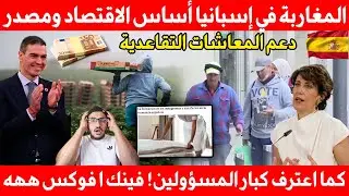 المغاربة في إسبانيا أساس الاقتصاد ومصدر دعم المعاشات التقاعدية كما اعترف كبار المسؤولين! فينك ا فوكس