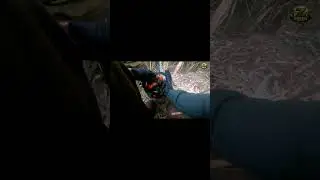 Cutting the deadwood. Part 9.🌱   #deadwood  #treepruning  #gardencleanup  #overgrown  #landclearing