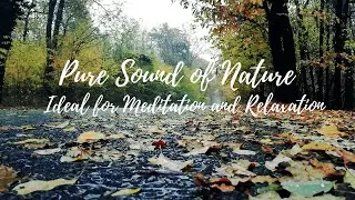 Pure Sound of Nature / No Music / Only short video clips - Ideal for Meditation and Relaxation.