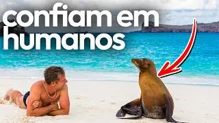 Galápagos: As Ilhas Que Mudaram a Ciência Para Sempre