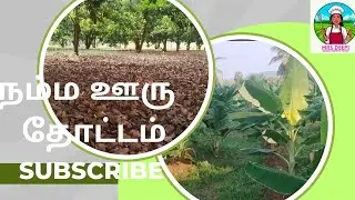 நம்ம ஊரு தோட்ட&zwnj;ம்,#farming2025,