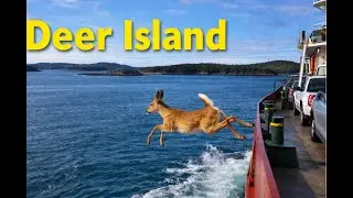 Deer Island, New Brunswick 🇨🇦 | A Peaceful Escape Into Nature (4K Drone)
