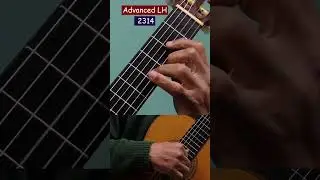 Advanced Left Hand Pattern 2-3-1-4 (Classical Guitar)