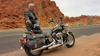 REBEL DAWGS FINDING THEIR FREEDOM ON THE OPEN ROAD