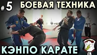 Боевая механика Кэнпо-Карате: техника синего пояса – 5.