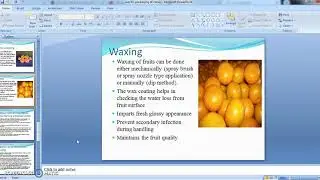 Specific packaging for the export of Citrus (Kinnow, Sweet orange, Mandarin) by Baljit Kaur