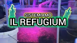 RISISTEMIAMO UN REFUGIUM