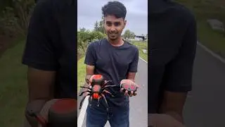 Rc Spider #unboxing #spider