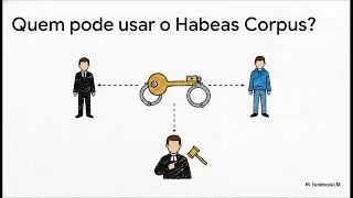 Decifrando o Processo Penal