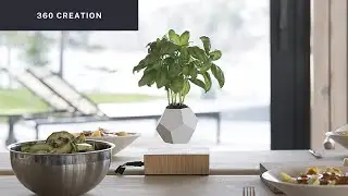 AMAZING PRODUCT FOR YOUR SMART LIFE | Magnetic Floating Levitating Plant Pot