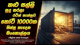 කළු සල්ලි සුදු කරලා රටින් පැන්නුව කෝටි 10000ක මංකොල්ලය | Sinhala Movie Review