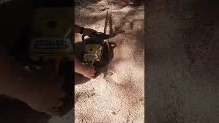 McCulloch sp125!! American Muscle Saw!!