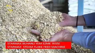 Steam Flake Feed Machine   Steam Roller Mill Plant   Farm Type Steam Flaking System   Economic Flake