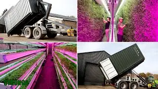 Markdemon ISO-containrar med Stronga HookLoada - F&ouml;rest&auml;ll dig applikationerna...
