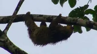 Costa Rica 