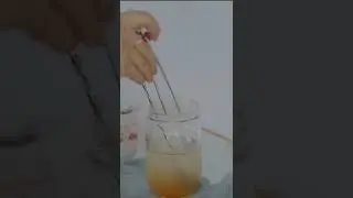 Grapefruit Ade: refreshing summer drink