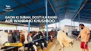Gaon Ki Subah Vlog | Desi Farm Life in Pakistan | Dosti Aur Wanda Banane Ka Scene 🐄✨