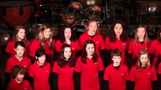 Die S&uuml;dpfalzlerchen, 