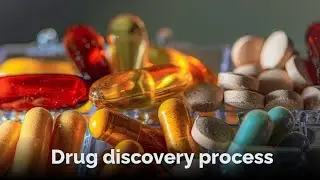 The Drug discovery process | Phases of drug discovery |