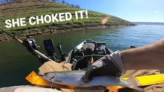 New Melones Kayak Fishing | Trout Catch & Cook