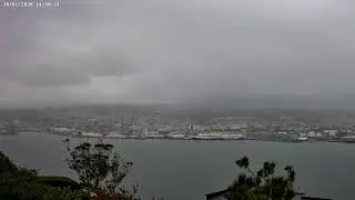 Dunedin, NZ - Live Webcam (4K): 15-01-2026 03:00 to 14:59