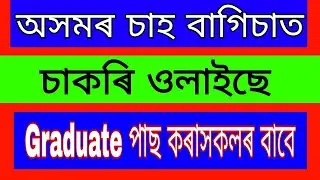 Assam Tea Employees Provident Fund Organization Recruitment 2019 || Assam Tea Recruitment 2019 ||