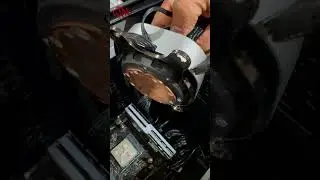 What thermal paste do you use?