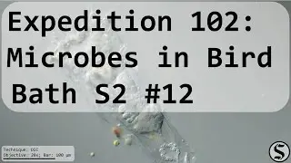 Expedition 102  - Microbes in Bird Bath S2 #12