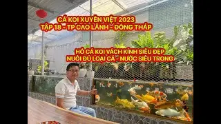 TẬP 18 - CÁ KOI XUYÊN VIỆT 2023 - HỒ CÁ KOI VÁCH KÍNH SIÊU ĐẸP BAO LA CÁ 10 KHỐI 150 TR - NƯỚC TRONG