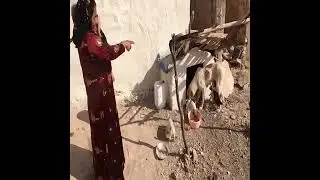 Let's in join watch the video of the daily villager living at village
