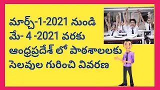 About Schools and college holidays in A.P.