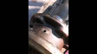Ferguson TO30 Rim Brakes Axle Seals Part 1