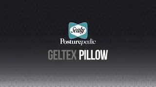 Sealy Geltex Pillow