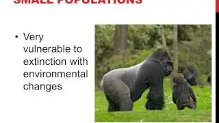 Population ecology