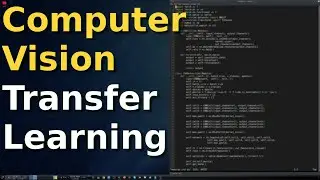 How To Do Transfer Learning For Computer Vision | PyTorch Tutorial