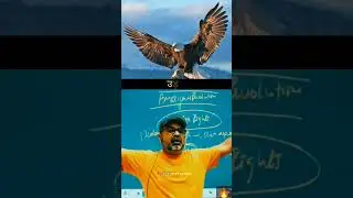 Raven vs Hawk #awadhojhasirmotivation #motivation #ojha #upsc #education #shorts #viralvideo #yt