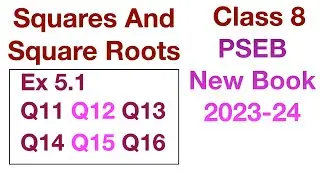 Q11 to Q16 Ex 5.1 | Squares And Square Roots | Chapter 5 Class 8 PSEB New Book 2023 Maths