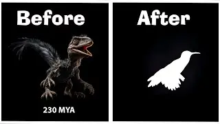 Time-Lapse Hummingbird Evolution: From Theropoda (Dinosaur) to Hummingbird With Ai