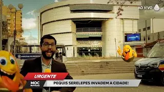 NORTE MINEIRO - EPIS&Oacute;DIO 1