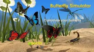 Butterfly Simulator Part 1