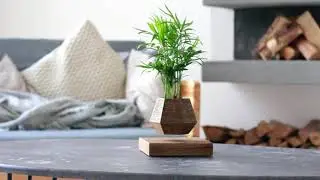 Levitating pot Leplant