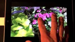 Apple iPhone 4: iPad Camera Connection Kit Demo