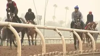 Racing at Santa Anita canceled after 21st horse dies