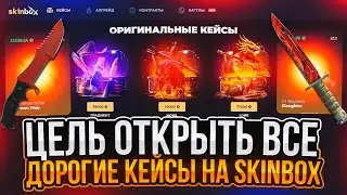 MY GOAL IS TO OPEN ALL THE PRICEY CASES ON SKINBOX!!! CAN I GET THE TOP KNIVES ON SKINBOX?! GIVEA...