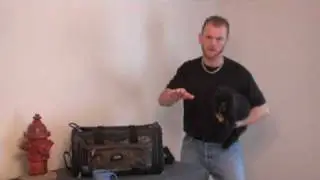 Traveling with a Small Dog by Plane