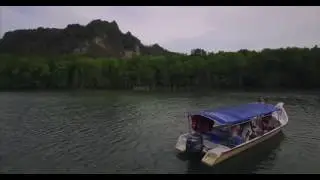 Geopark forest | Mangrove | Langkawi