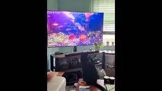 12 hours of the live stream from 9/4/2025 condensed into 1, no mid-roll ads